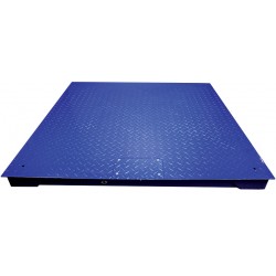 Platform Weighing Scale With GK Indicator PT110